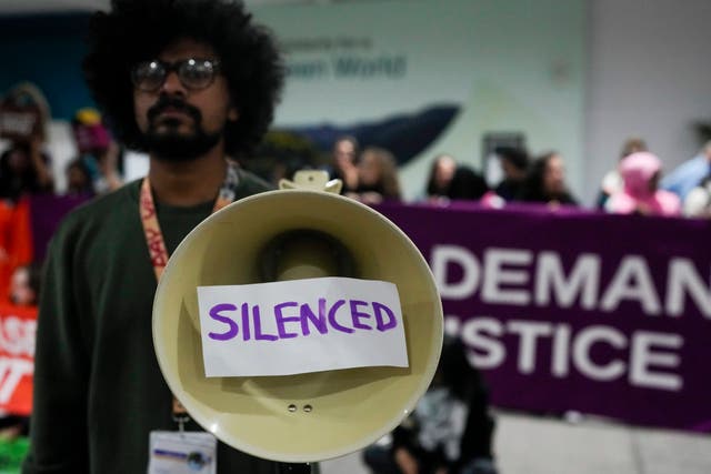 COP29 Climate Summit