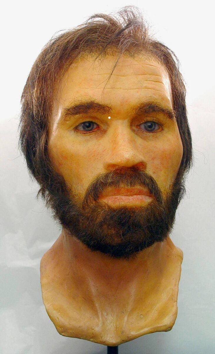 A reconstruction of the face of an Iron Age man found in a peat bog. He was named Lindow Man, after the marsh in Cheshire where he was discovered in 1984. A reconstruction of the face of an Iron Age man found in a peat bog. He was named Lindow Man, after the marsh in Cheshire where he was discovered in 1984.