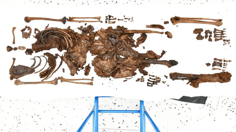 The bog is where forensics and archaeology meet to solve ‘cold cases’