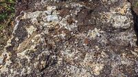 22kg slab of ancient 'bog butter' discovered on Donegal farm