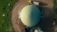 Electricity from slurry: €40m Biomethane Grant scheme opens for applications
