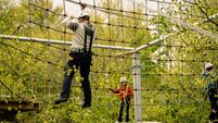 Westport Adventure Park: Taking a giant leap of faith into a new experience