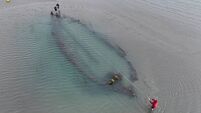 Three new shipwrecks found off coast of Ireland
