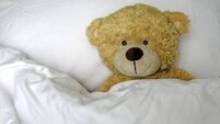 Teddy laying in bed with copy space