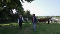 Changing approaches to cattle worming 