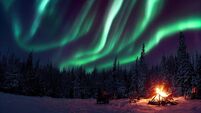 A warm and cosy campfire in the wilderness with