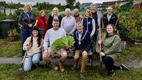 Donal Hickey: Urban allotments and community gardens growing in popularity