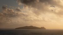 A gallery of stunning images of Ireland's coast and marine life
