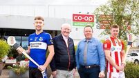 Seánie McGrath: Sars must show steel to keep Cork crown
