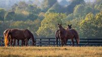 Kentucky: Visiting the home of Muhammad Ali, The Louisville Slugger, and the Mint Julep
