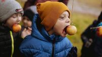 apple eating race. Food On A String game. Activity for halloween party