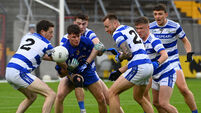 Culture club: Castlehaven's young stars leading from the front, says Collins