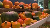 Carving a greener path in addressing pumpkin waste in Ireland 