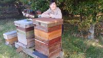 Telling the bees: Why this ancient mourning tradition has endured