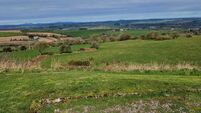 Offers already in for 34-acre West Cork farm