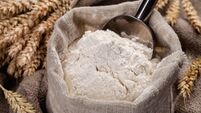 Flour in a bag on the table and spikelets