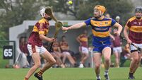 Flourishing Lisgoold have all the signs of a club on the up