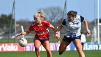 O'Donovan Rossa seal Munster final berth after thrilling defeat of Scartaglen 