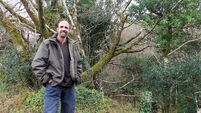 Book review: The grass really is greener — one man’s tribute to a native Irish rainforest