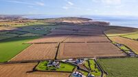 30 acres in East Cork on the market with an AMV of €450,000