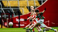 Sciath na Scol: Joy for Gaelscoil Charraig Uí Leighin, Rochestown, Innishannon and St Joseph's at Páirc Uí Chaoimh