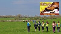 Walk the 22-mile Tóchar Phádraig in the footsteps of royal subjects, saints, and medieval pilgrims