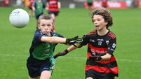 Sciath na Scol: Three-in-a-row for St Anthony's as Shanbally and Bunscoil Rinn an Chabhlaigh also grab silverware