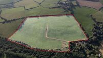 19-acre North Cork holding already has offer on the table