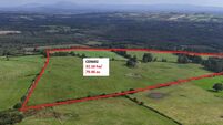 175-acre Clare holding up for auction in three lots