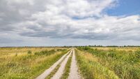 Dirt road through a flat landscape