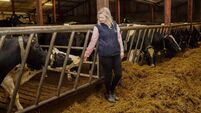 Motherhood and entrepreneurship in agriculture