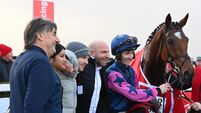 Stuzzikini makes it magnificent seven Troytown triumphs for Elliott