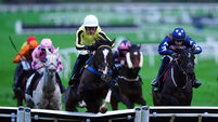 The November Meeting - November Sunday - Cheltenham Racecourse