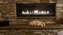 One Funny Cat in Front of the Fireplace