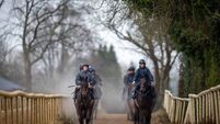 Sam Ewing on Romeo Coolio and Jack Kennedy on Brighterdaysahead lead a string of horses as they cool down on the gallops 18/11/2