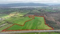 December auction of 40 acres in Limerick to attract wide interest