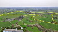 76-acre West Cork farm adding up well to the sum of its lots
