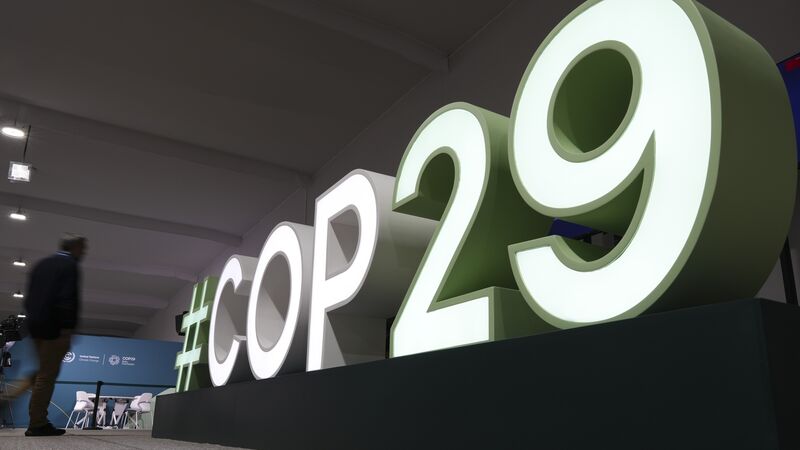 Thousands of corporate lobbyists are at the UN climate summit in Baku. But what exactly is lobbying?