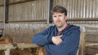 Breeding really is a numbers game for efficient sheep production