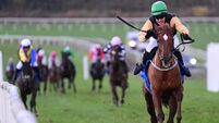 Double delight for Queally at Limerick