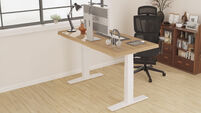 FlexiSpot E9 Standing Desk: The perfect blend of power, stability, and performance