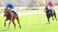 Step up in trip can do trick for Minella Sixo at Thurles 