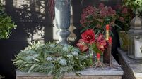 Elegant winter and Christmas flowers