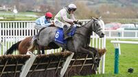 Cheltenham Festival 2024 - Champions Day - Cheltenham Racecourse