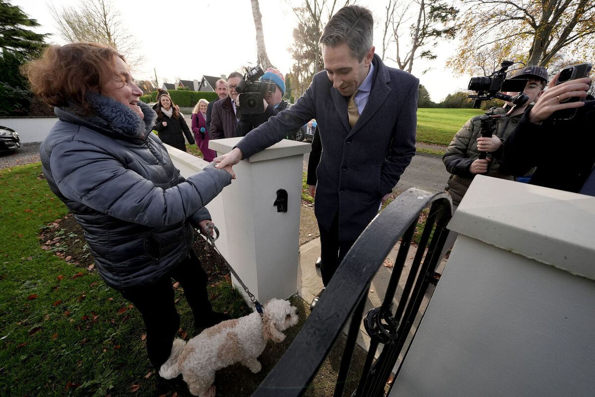 Taoiseach Simon Harris canvassing at Avoca in Malahide Castle, Dublin. He said the Green Party had a very 'positive role' in government, and the outgoing coalition had made considerable progress to reduce carbon emissions. Picture: Brian Lawless/PA Taoiseach Simon Harris canvassing at Avoca in Malahide Castle, Dublin. He said the Green Party had a very 'positive role' in government, and the outgoing coalition had made considerable progress to reduce carbon emissions. Picture: Brian Lawless/PA
