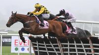 Weekend Irish tips: State Man can see off young pretenders in Morgiana Hurdle