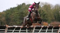 Brighterdaysahead takes down State Man in thrilling Morgiana Hurdle at Punchestown