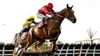 Punchestown Winter Festival - Day Two