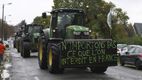 Stephen Cadogan: European food producers are split on the advance of Mercosur