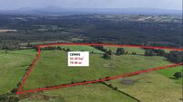 175a Clare farm achieves €1.5m at auction